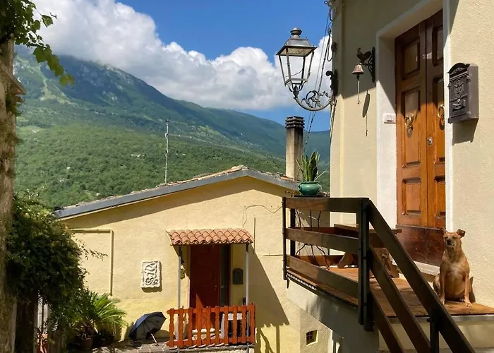 Palestro 8_art House